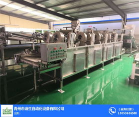 青州市迪生自动化设备 北京全自动豆芽机械