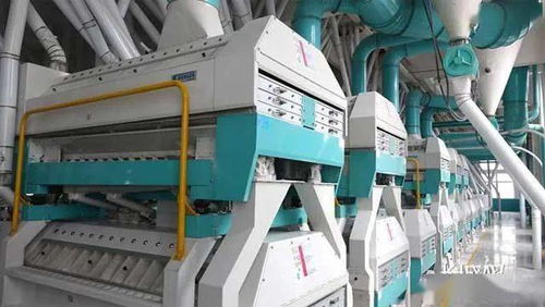 燕赵开新局 自动化设备驱动产业升级