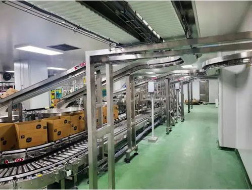 宠物食品自动化包装线的先进技术与高效运作